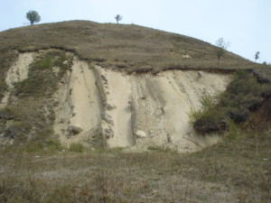 The Puppet Ravine from Domnesti, Transylvania:
